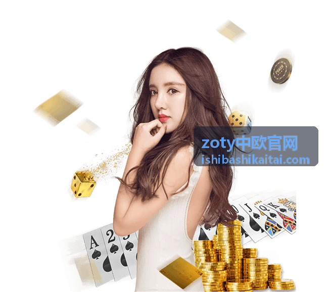 zoty中欧官网帮助支持的使用流程说明