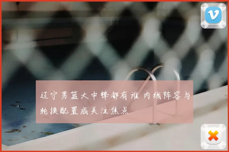 辽宁男篮大中锋都有谁 内线阵容与轮换配置成关注焦点