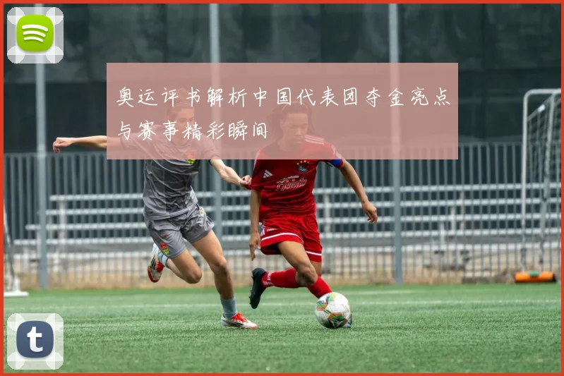 奥运评书解析中国代表团夺金亮点与赛事精彩瞬间