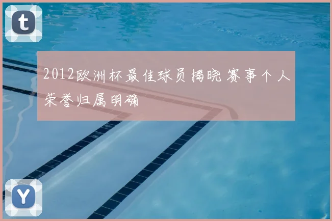 2012欧洲杯最佳球员揭晓 赛事个人荣誉归属明确