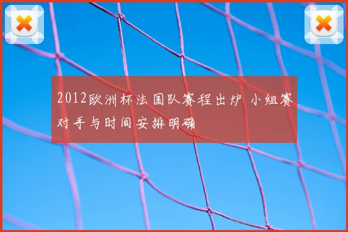 2012欧洲杯法国队赛程出炉 小组赛对手与时间安排明确