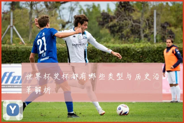 世界杯奖杯都有哪些类型与历史沿革解析