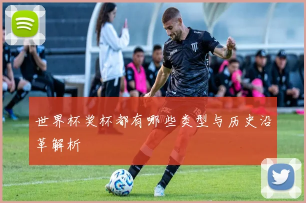 世界杯奖杯都有哪些类型与历史沿革解析